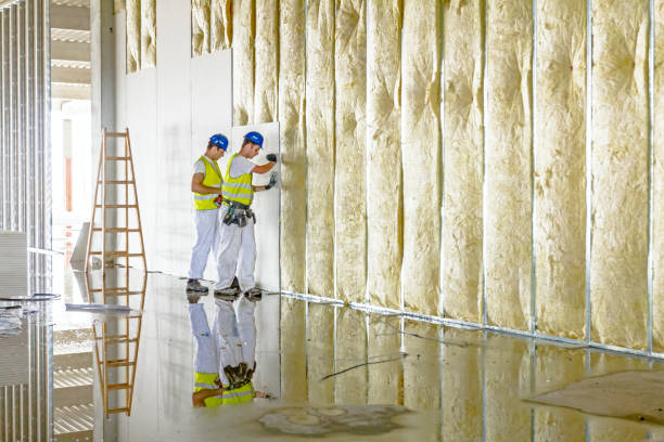 Best Insulation Air Sealing  in Etowah, NC